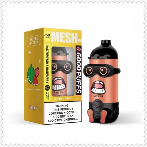 Mesh-X 6000 Puffs Kit jetable Hot Vietnam