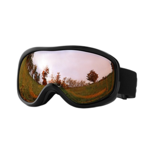 Wide View Dual-Layer Anti-Fog Ski Goggles
