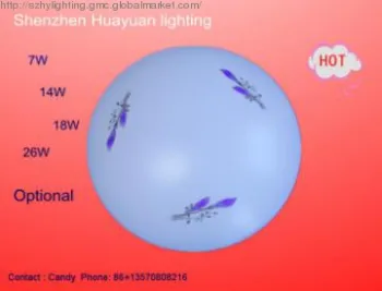 LED ceiling light
