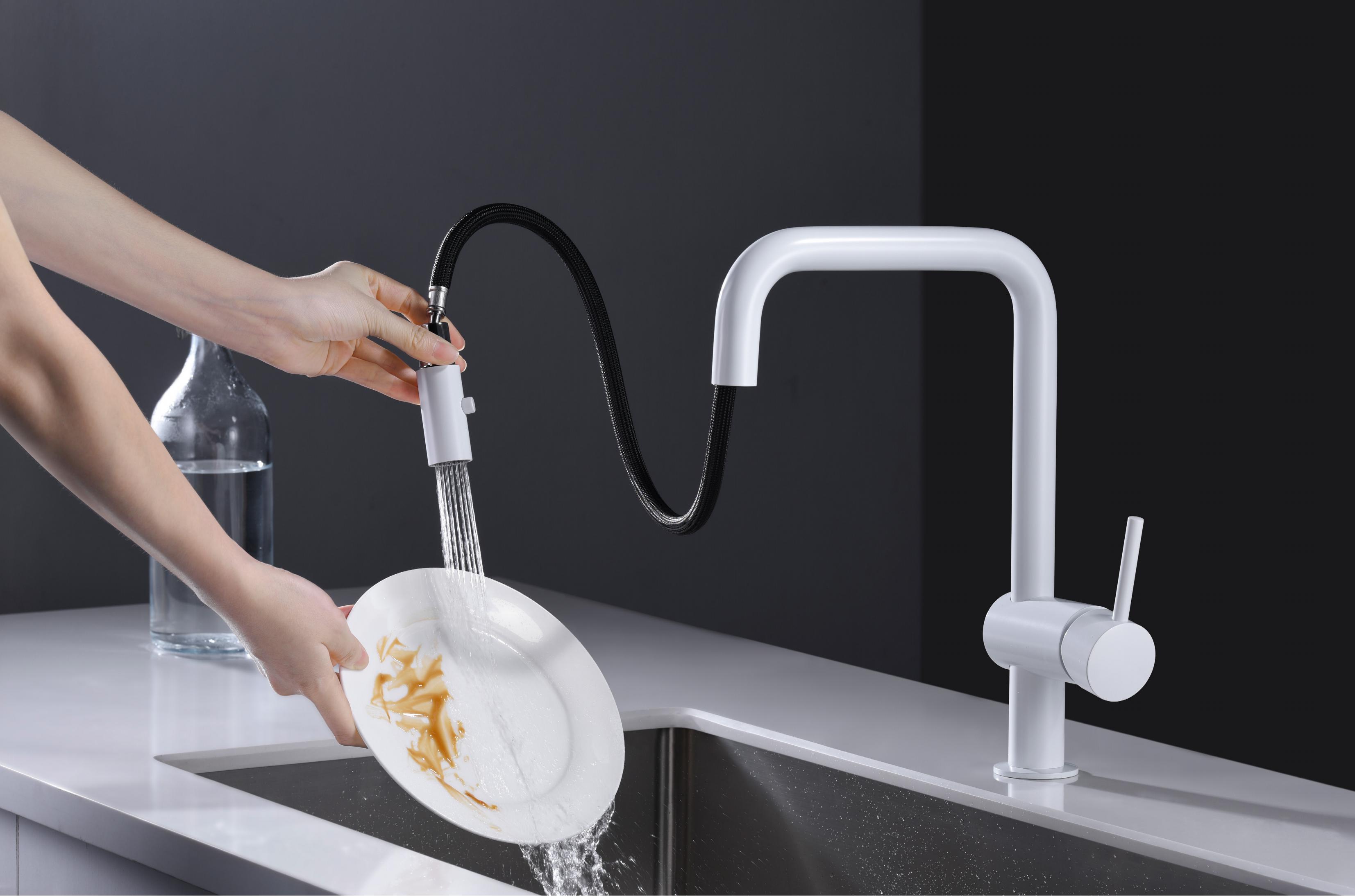 Pull Out Kitchen Faucet