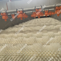 Brush type washing machinery for Pineapple