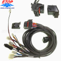 Custom Car ECU Wiring Assembly Kits