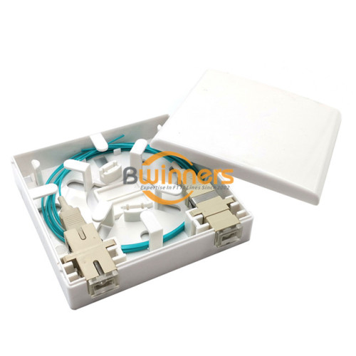 2 Ports Fiber Optic Wall Plate