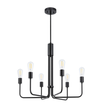 Vintage Black Ceiling Lights for Living and Dining Rooms