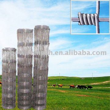 Wire Mesh Fence