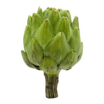 Artichoke extract 5% UV Artichoke Leaf extract