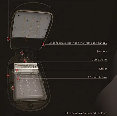 famous china brands cob 30w led street light with motion sensor