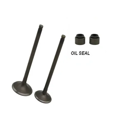 Perkins P4 Engine Parts Engine Valve