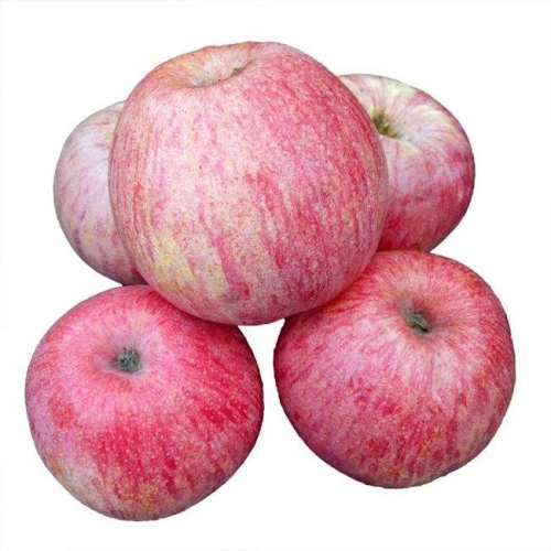 Bagged Jiguan apple