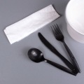 Plastic Cutlery Set with Disposable Spoon Fork