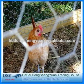 Hot Sale!Anping galvanized hexagonal wire mesh/1 inch galvanized welded wire mesh