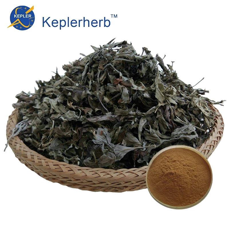 Absinthe Extract Powder အပင် တရုတ်ထုတ်လုပ်သူ