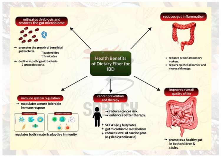 Benefits Of Dietary Fiber Jpg