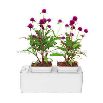 Plastic Vases, Smart Planting Do Not Need to Care Unique Electronic Product, OEM, CE, FCC Marks