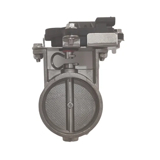 Double Exhaust Valve with Remote OBd and App Control for Auto