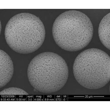 Polymeric Chromatography Media