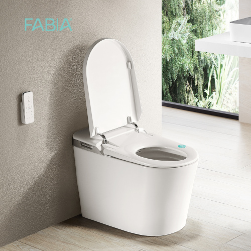 China Blue Color Bathroom Smart Toilet Bowl With Bidet Manufactory