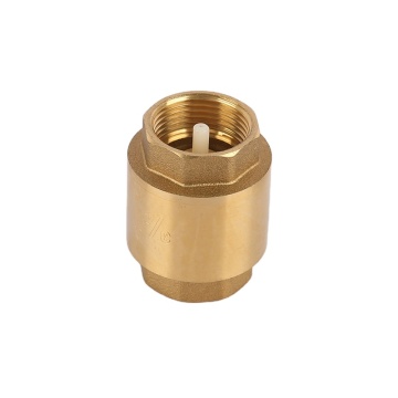Plastic Pin Brass Vertical Check Valve for Heating