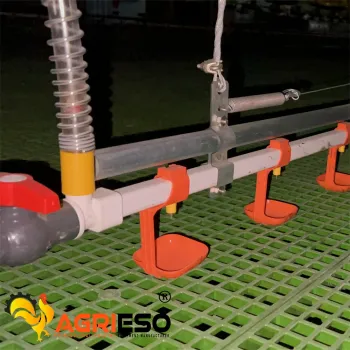 Agrieso Automatic Poultry Nipple Drinker Drinking Line with Water Pressure Regulator - Factory Price