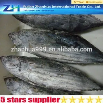 seafood frozen whole round bonito tuna fish skipjack