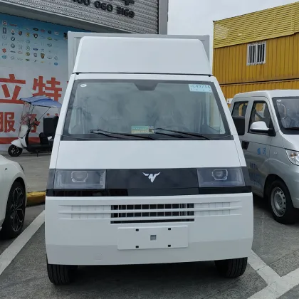 D08 Conventional van electric vehicle