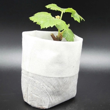 100pcs Biodegradable Non-woven Seedling Bag Graft Tree Grow Bag Grape Cuttings Planting Container Bonsai Flower Nourishing Bag