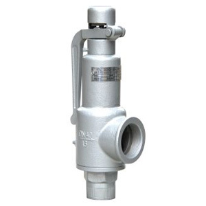 Screw spring safety valve