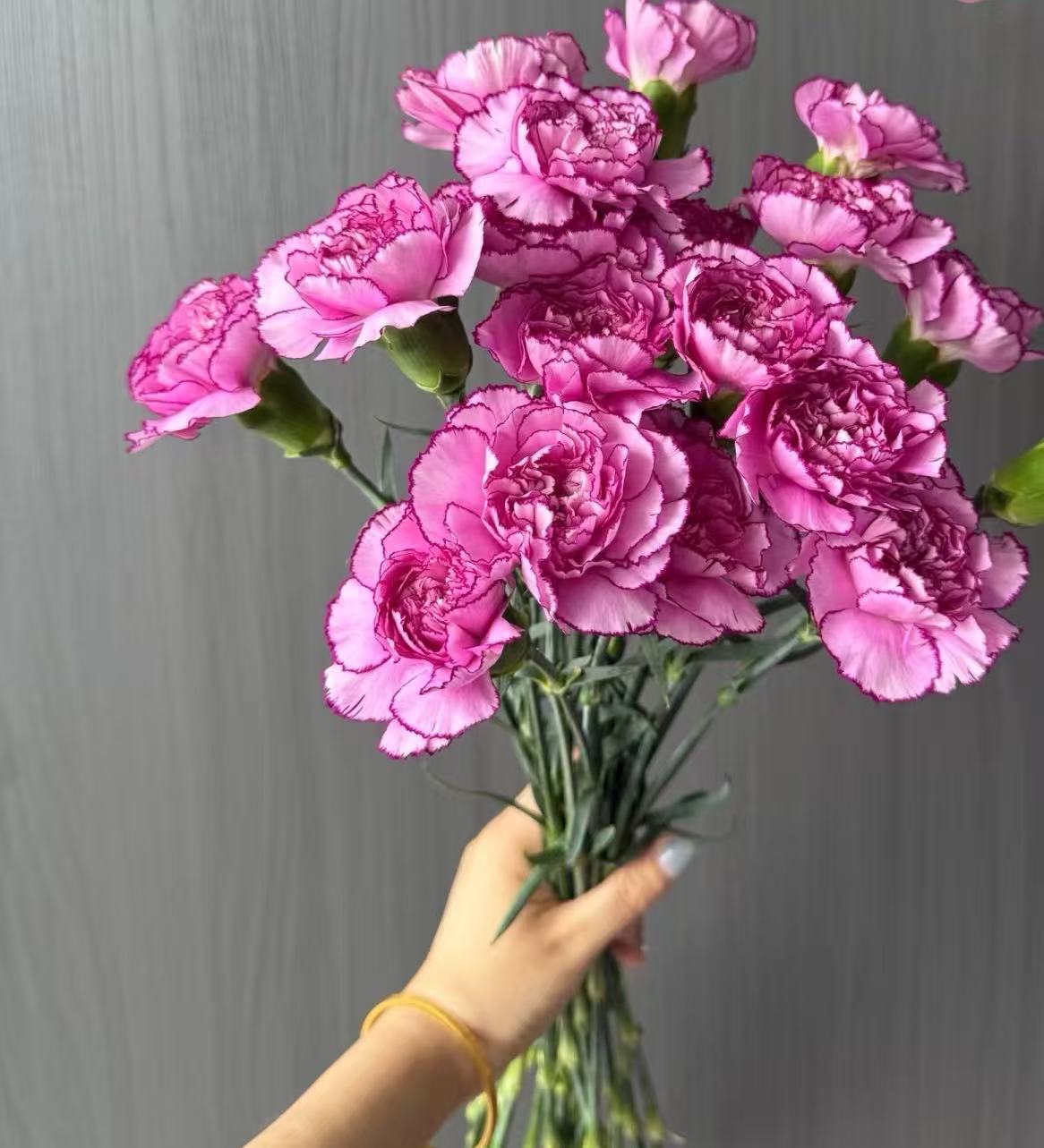 Single-headed carnation Purple Zixia