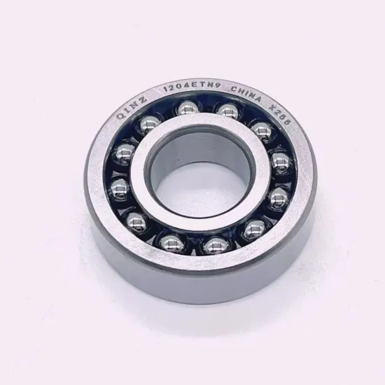 High Precision Self-Aligning Ball Bearings 1200 1201 ETN9 TN9