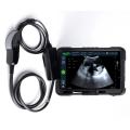 Fast Scan LC cow sonogram machine