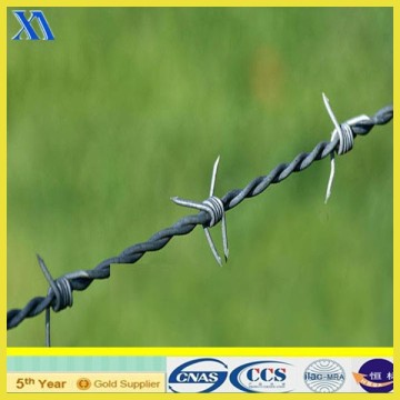 hot dipped galvanized barbed wire with 2.2mm