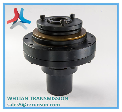 Friction Type Torque Limiter for Extrusion Machine Made in China