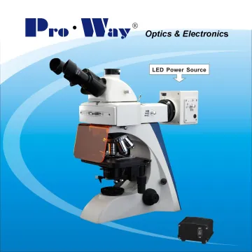 Professional Fluorescent Biological Microscope for Lab