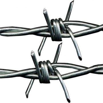 Hot Dipped Galvanized Anti-Theft Security Fencing and Barbed Wire