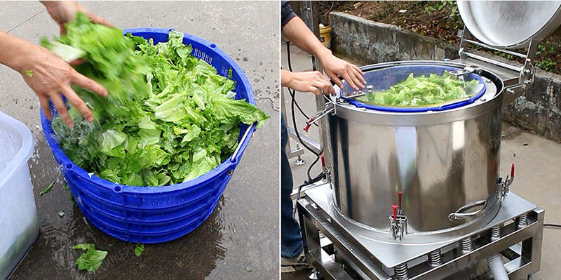 Centrifugal vegetable dehydrator