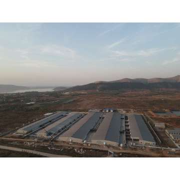 Proyecto de cría de cerdos moderna de Shandong Jiuxian