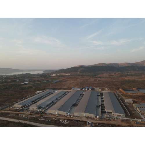 Proyecto de cría de cerdos moderna de Shandong Jiuxian