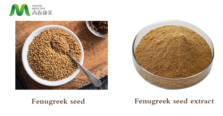 Fenugreek powder