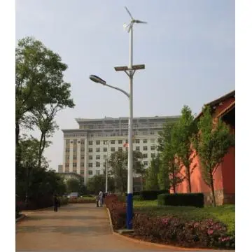 LED Street Lighting Solar Powered with Panel, Controller, Batttery