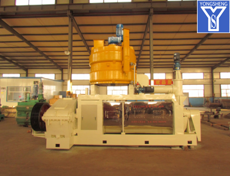 Canola Oil Milling Machine