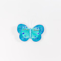 Butterfly art and craft