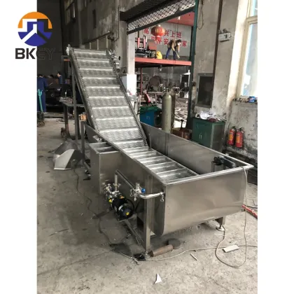 Tomatoes Carrot Vegetable Fruit Washing and Drying Machinery