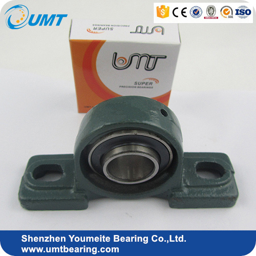 High Precision Pillow Block Bearing Ucp 215 With Stocks, High Quality