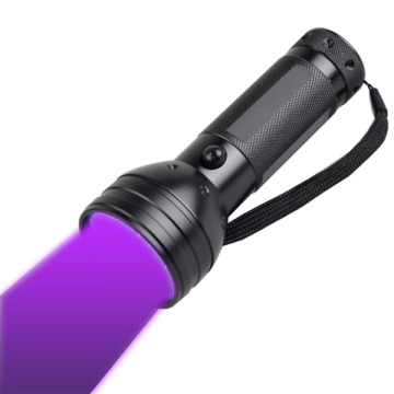 Pet Stain & Bed Bug Inspection: 51 LED Ultraviolet Blacklight UV Flashlight