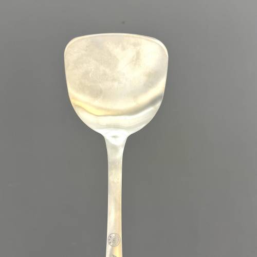 Хатні чысты тытанавы шпатель