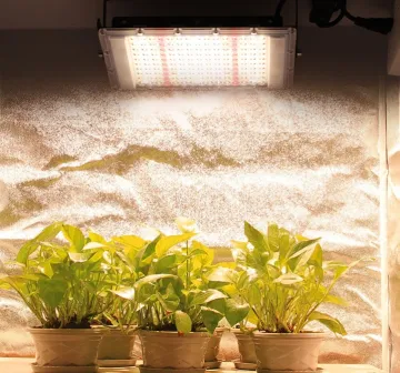 300W Full Spectrum LED Plant Growth Lamp: Ideal for Indoor Sunlight, Seedling, Hydroponic, and Flower Cultivation
