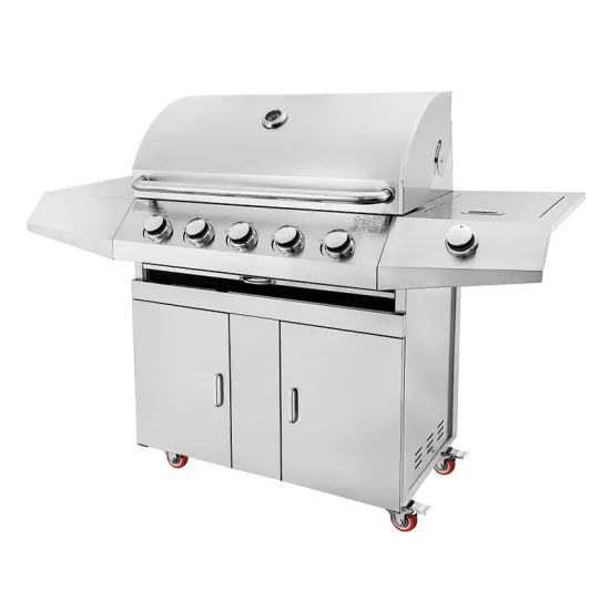 Outdoor Garden Camping grill Gas BBq