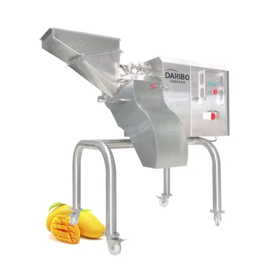 Frozen Fruit and Cheese Processing Equipment