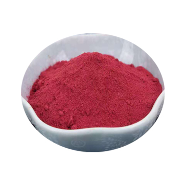 Beta Vulgaris Extract Powder Beet Root Extract