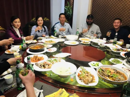 SDLQ 20m Helical Pile Driver: Sheet Pile Driver and Crawler Pile Driver for Construction